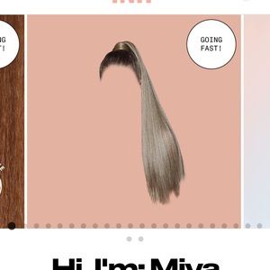 Insert Name Here Miya Pony